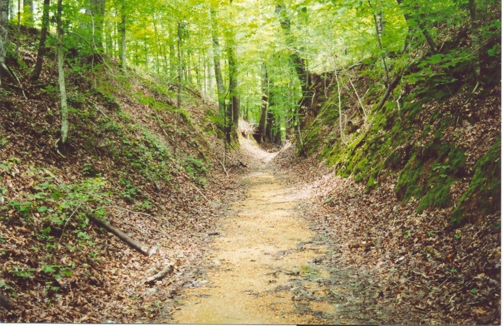 Get off the internet and explore Mississippi this summer. For instance, the Natchez Trace.